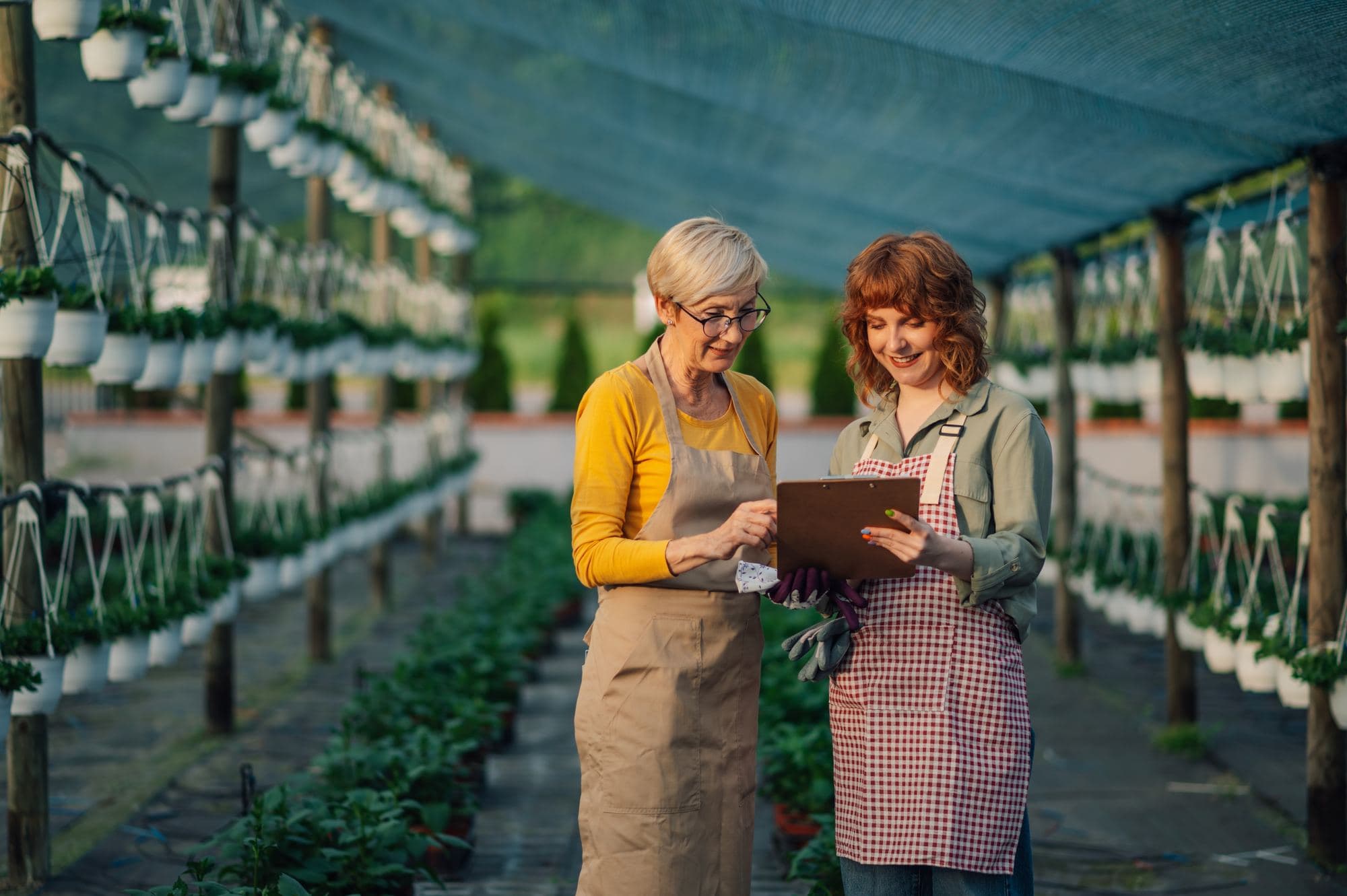 Growers checking stock in a nursery greenhouse